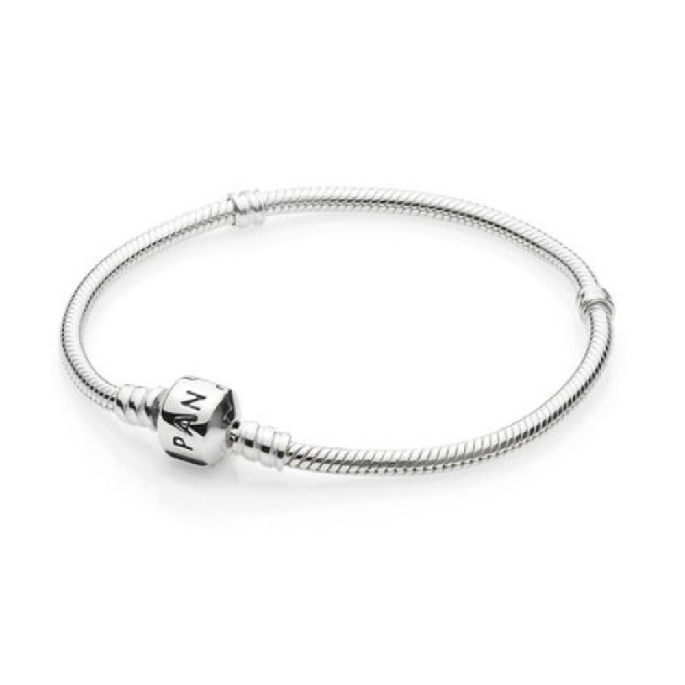 NWOT PANDORA “Iconic Silver Charm Bracelet”